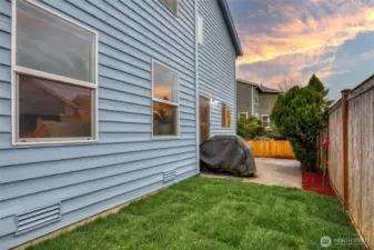 Updated landscaping in back yard