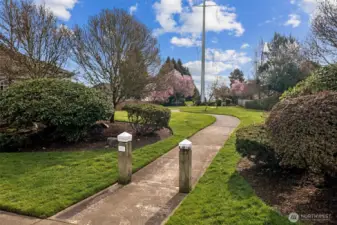 Walking trail through the neighborhood.