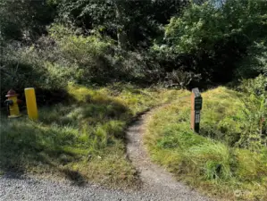 For access to the upper side of the property take this trail