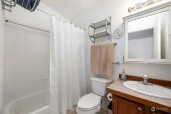 Hall bathroom