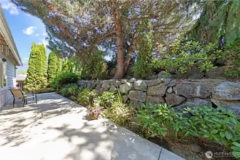Backyard patio and landscaping.