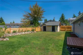 Many fruit trees have been planted and a new fence.