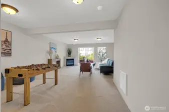 Family/den/game room