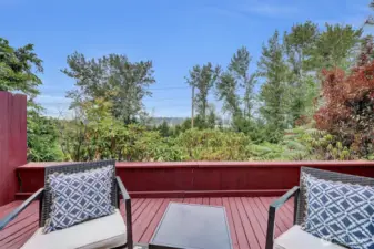 Large deck downstairs