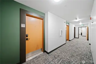 Unit Door