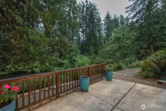 Patio overlooking the creek off of the daylight basement.