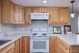 Downstairs Unit Kitchen