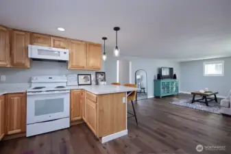 Downstairs Unit Kitchen