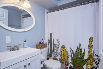 Downstairs Unit Bathroom