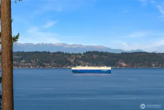 The Olympic Mountains and maritime sailings are lovely to look at... right outside your windows or beyond your yard.