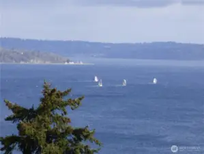 Summertime regattas are highlighted here...and casual boaters pass by regularly.