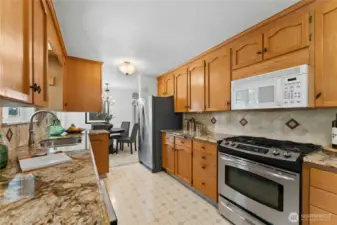 Stainless Steel Appliances and Granite Countertops