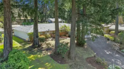 Mature Landscaping Provides Tranquil Setting