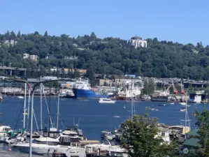 Always something interesting to see from the bustling maritime activities to happy bicyclists on the Westlake Bikeway to the numerous houseboat communities