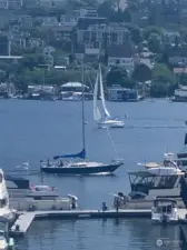 Sailboats are fun to watch!