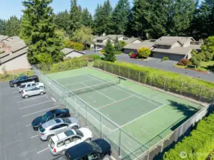 Tennis court or pickle ball...you choose