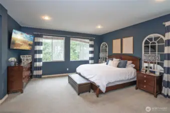 Huge primary bedroom overlooking the greebelt