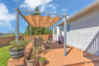 Trex decking