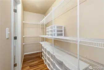 Enormous walk in pantry