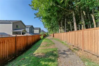 Walking path through the neighborhood buffers the tree line
