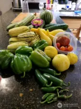 Bounty from the garden when planted in raised beds.