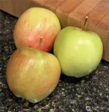 Bounty from the garden when planted in raised beds.