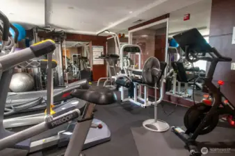 A look at the center's many cardio and strength-building machines.