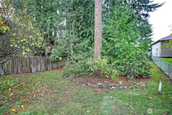A patch of forest conceals a shady glen. Hang a hammock for forest bathing.