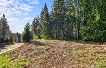 View from where your home would be