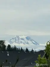 Mt. Rainier from the back porch- she wasn't out the day we took photos.