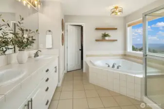 Huge WIC through Primary Bath with soaking tub and views!