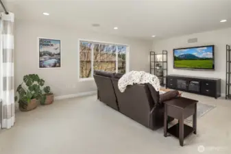 Large bonus room