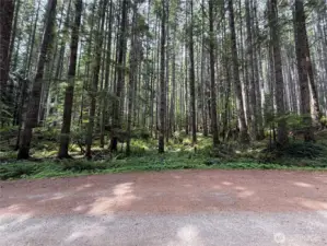 Western Upper Property