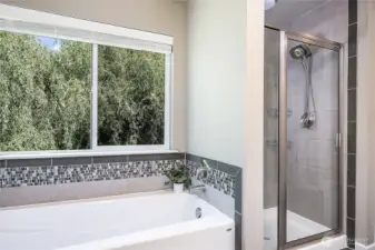 Primary Suite Tub and Shower