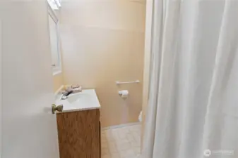 Lower level bathroom