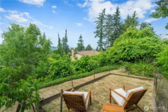 Upper back yard