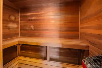 Sauna off Primary bathroom