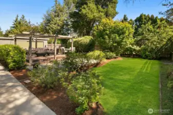 Backyard and patio