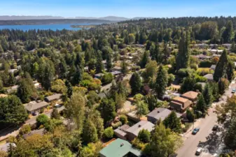 Aerial view with Lk WA in the background