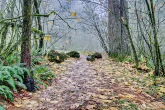 Lookout Mtn. Trail Access Located at the end of Shetland Court