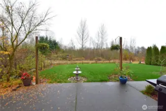 Beautiful view into the bird sanctuary.