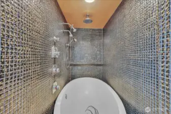 Soaking tub & Shower