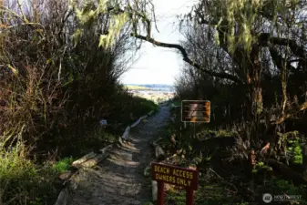 Community beach trail access point