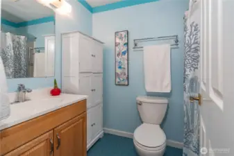 Hall bathroom with extra storage.