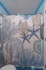 Tub/shower in the hall bathroom.