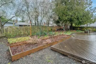 Several large garden beds with well-established veggies, berries and flowers. Just wait for everything to start popping up!