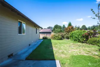 Backyard, with mature landscaping