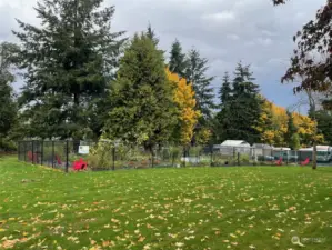 Community garden.