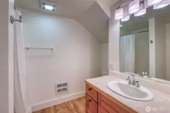 Lower level 3/4 bath.