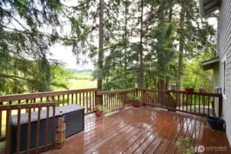 Back deck has plenty of room for your outdoor activities, BBQ's or just sit and relax and watch the animals as they roam the meadow. Comes with a large storage box for your yard games or seat cussions.